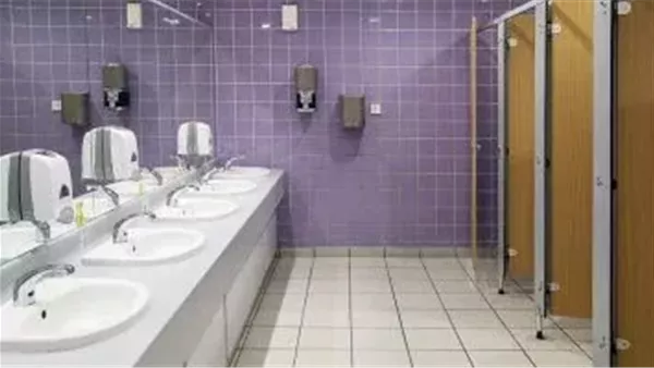 حمام - صورة أرشيفية