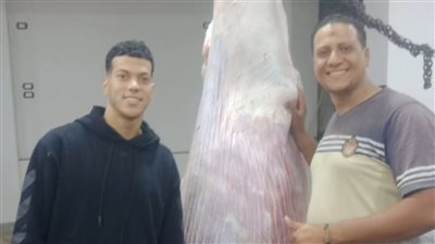 احتفالات وذبح مواشي.. تفاصيل زيارة للاعب إمام عاشور لأهل بلدته بالدقهلية