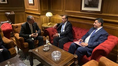 وزير الخارجية: هجمات الحوثيين على السفن بالبحر الأحمر كبدت الاقتصاد المصري خسائر بالغة