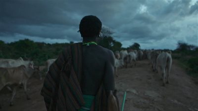 فيلم الصراع لأجل لايكيبيا يفوز بجائزة النجمة الخضراء بمهرجان الجونة السينمائي