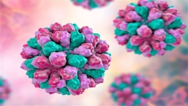 فيروس نوروفيروس