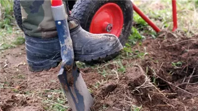 بعد وفاة 5 أشخاص.. خبراء يحذرون من بكتيريا قاتلة في تربة الحدائق