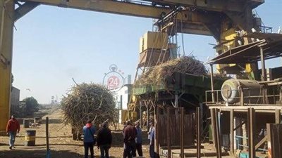 عودة خط إنتاج قصب السكر في مصنع أبو قرقاص بالمنيا بعد توقفه لمدة عام | بث مباشر