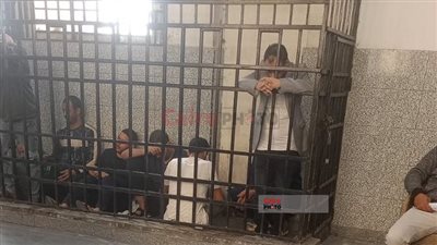 تأجيل جلسة محاكمة المتهم بقتل زوجته السويسرية بقرية تونس بالفيوم