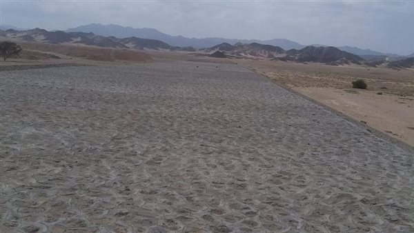 أعمال الحماية من