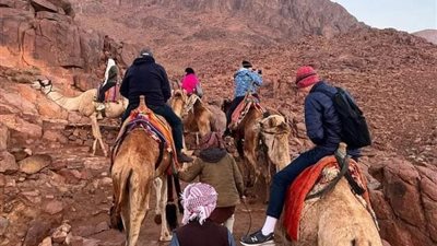 647 سائحًا يزورون المقدسات الدينية في سانت كاترين