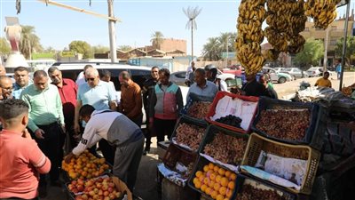 محافظ الوادي الجديد يتفقد منافذ بيع السلع الغذائية بمركز الخارجة | صور