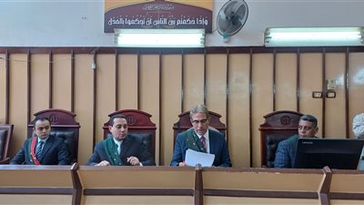 السجن 7 سنوات للمتهم بقتل والده في بورسعيد