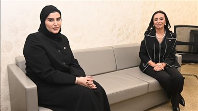 التضامن تعلن إقامة معرض للأسر المنتجة المصرية في قطر قبل شهر رمضان المقبل