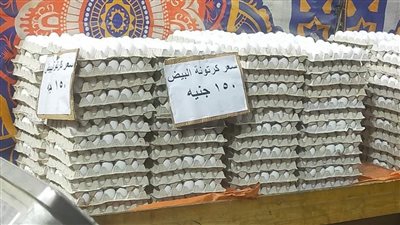 الكرتونة بـ 150 جنيها.. طرح كميات من البيض المدعم في الوادي الجديد |صور