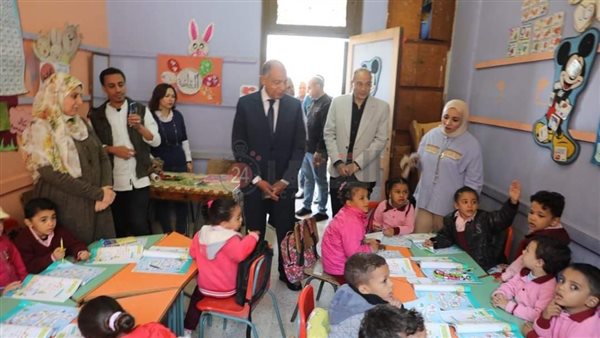 محافظ المنيا