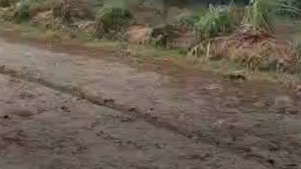 أمطار على المنوفية