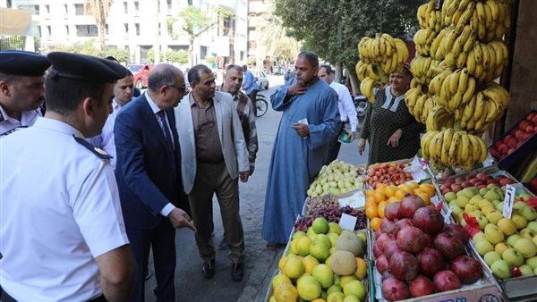 محافظ المنيا