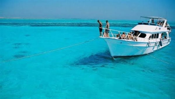 جزيرة توبيا بسفاجا