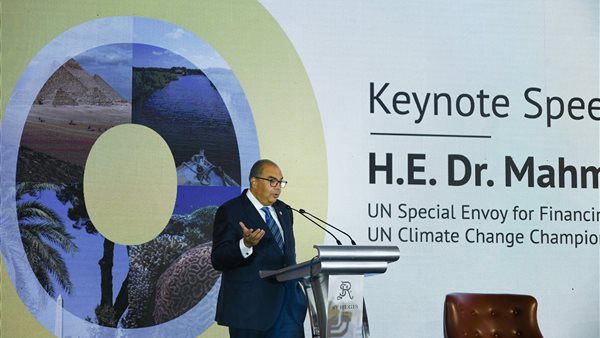 الدكتور محمود محيي