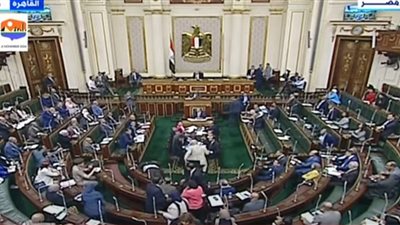 سقوط نائب إثر تعرضه لأزمة صحية خلال الجلسة العامة بمجلس النواب