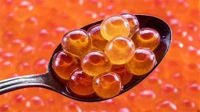 تفسير حلم بيض السمك للعزباء.. رمز الطموح أم هموم قادمة؟