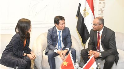 اتفاق مبدئي بين مصر وفيتنام على تشكيل مجموعة عمل لوضع خارطة طريق للتعاون المشترك