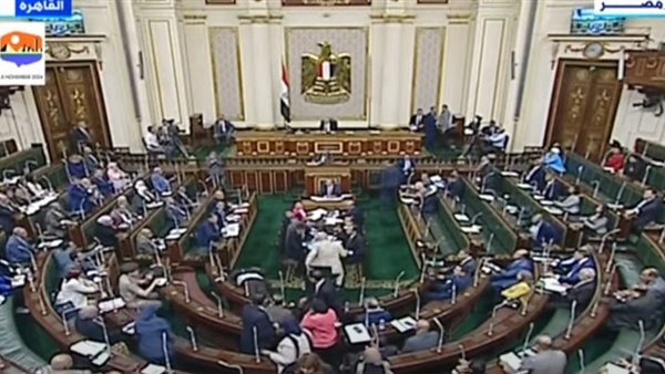 لحظة سقوط البرلماني