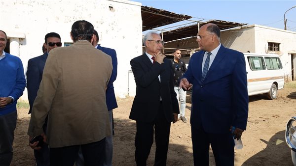 جامعة المنيا