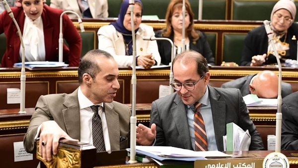 وزير الشئون النيابية