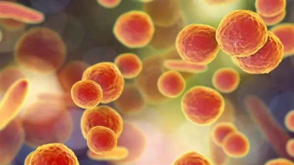 الالتهاب الرئوي الميكوبلازما