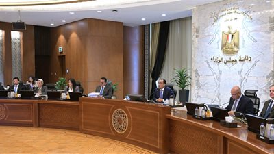 الحكومة توافق على مد الخدمة لـ 133 طبيبا من أعضاء المهن الطبية