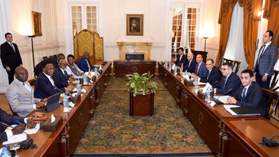 انعقاد اللجنة المصرية الكاميرونية المشتركة برئاسة وزيري خارجية البلدين بالقاهرة