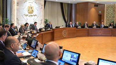 لظروف استثنائية.. مجلس الوزراء يستجيب لطلبات مساعدات عاجلة لمواطنين