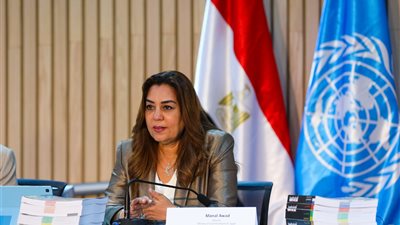 وزيرة التنمية المحلية: حققنا تنمية عمرانية وزراعية مستدامة وجارٍ إنهاء ملف التصالح على مخالفات البناء 