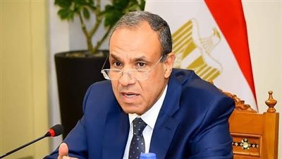 وزير الخارجية: ندين العدوان الإسرائيلي على الأراضي السورية