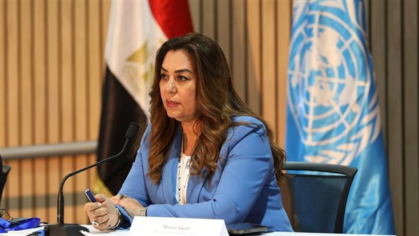 وزيرة التنمية المحلية