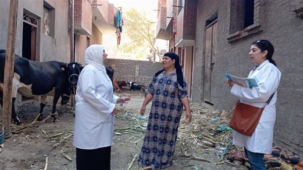 محافظ الفيوم يتابع