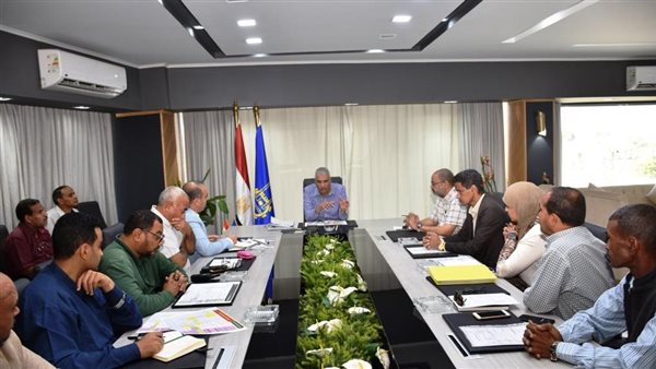 محافظ أسوان