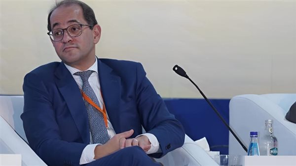 وزير المالية