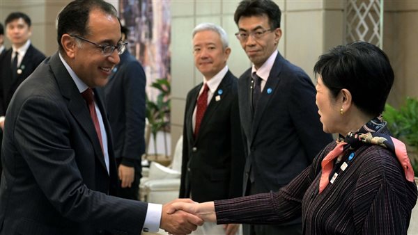 رئيس الوزراء يلتقي