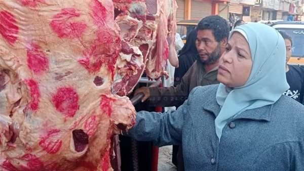 حملات تفتيشية بالمنيا