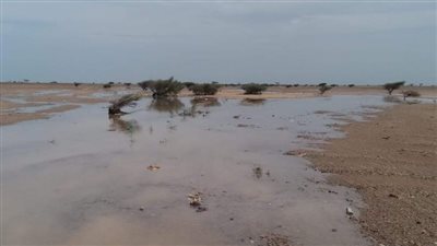 توقعات بسقوط أمطار.. رفع درجة الاستعداد في حلايب وشلاتين لمواجهة التقلبات الجوية| بث مباشر