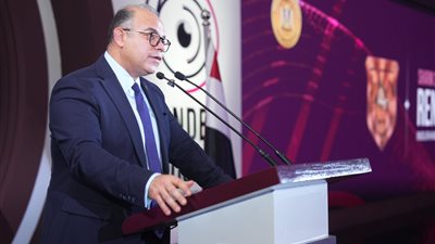 رئيس الرقابة المالية: نستهدف جمع البيانات من سوق التأمين لوقف الخسارة الطارئة