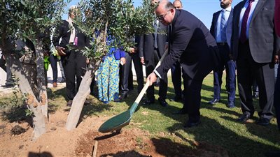  مساهمة في خفض الانبعاثات الكربونية.. رئيس الرقابة المالية يشارك في زراعة مجموعة أشجار بشرم الشيخ