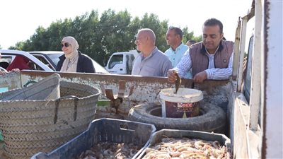 بعد انقطاع سنوات.. افتتاح موسم الصيد في بحيرة قارون