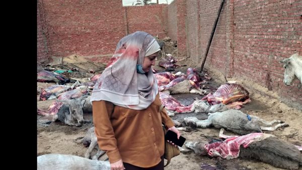 جانب من الحملة