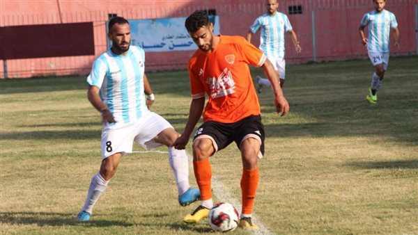 دوري المحترفين