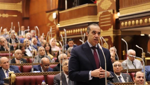 المستشار محمود فوزي