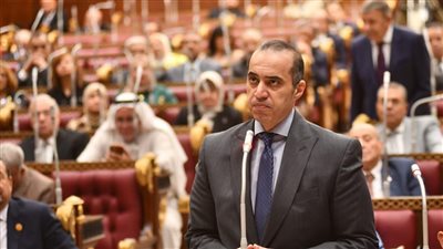 وزير الشئون النيابية: الحكومة حريصة على تنفيذ توصيات الحوار الوطني
