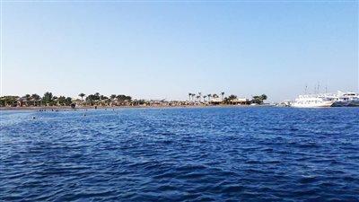 مياه صافية زرقاء.. جزيرة مجاويش من أجمل جزر البحر الأحمر