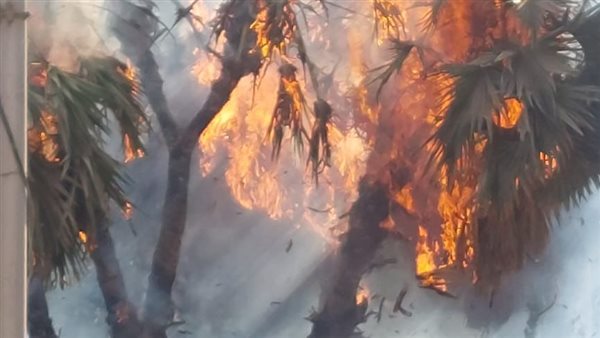 حريق السويس