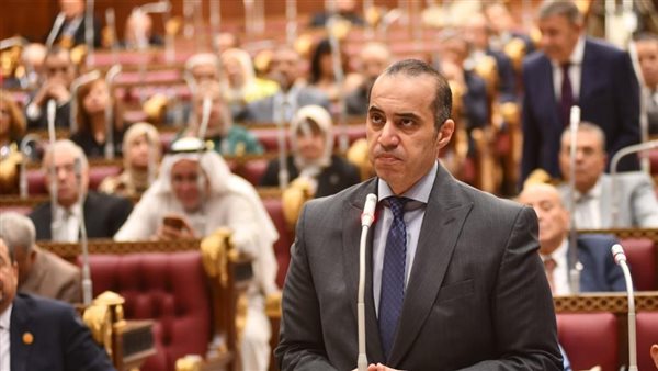 المستشار محمود فوزي