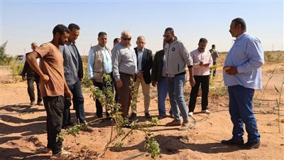 تنفيذ مشروع بمساحة 540 فدانا لزراعة الكمثرى والتمور بالوادي الجديد |صور