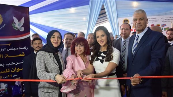 محافظ أسوان